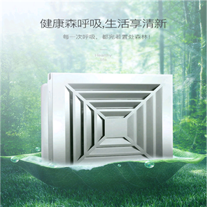 换气扇集成吊顶 铝扣板 厨房卫生间大功率排风排气扇