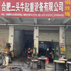 合肥二头牛起重设备有限公司
