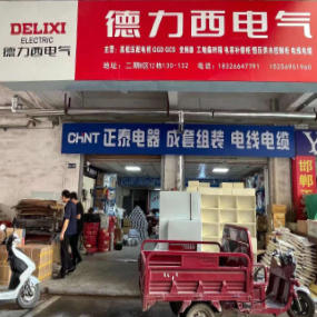 德力西电气