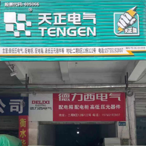 天正电气
