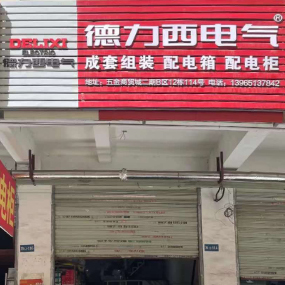 德力西电气