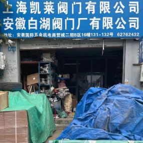 安徽白湖阀门有限公司