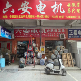 六安电机