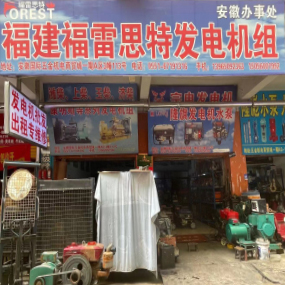 福建福雷思特发电机组