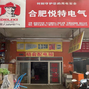 合肥悦特电气