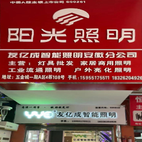 友亿成智能照明安徽分公司（阳光照明）