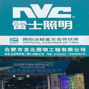 合肥龙元照明工程有限公司（雷士照明）